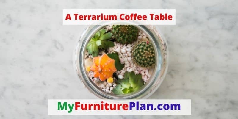 A Terrarium Coffee Table
